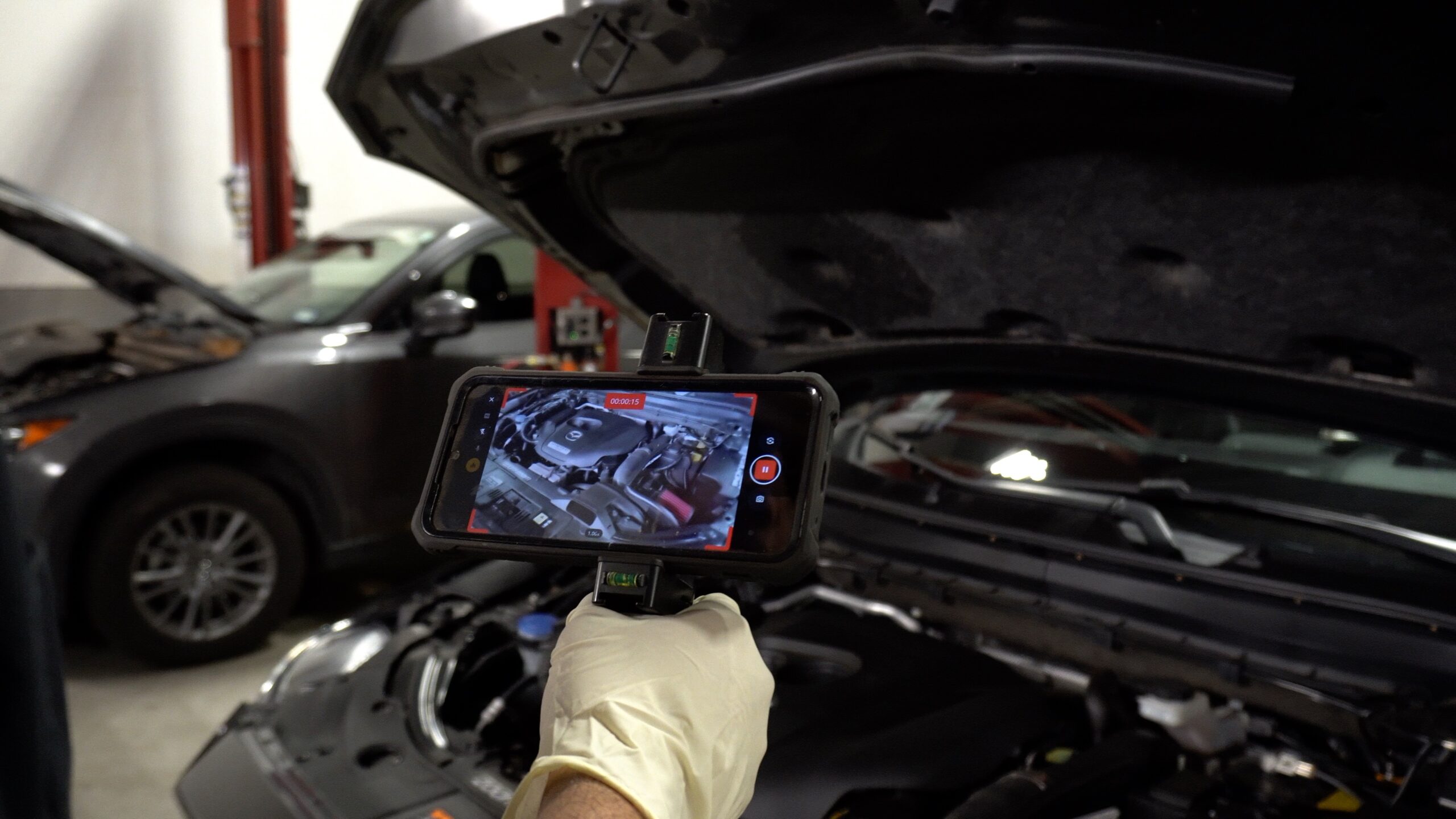 software partnership